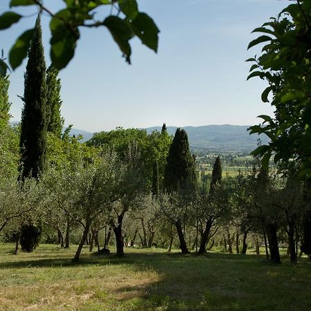 Villa Degli Ulivi Assisi Exterior foto