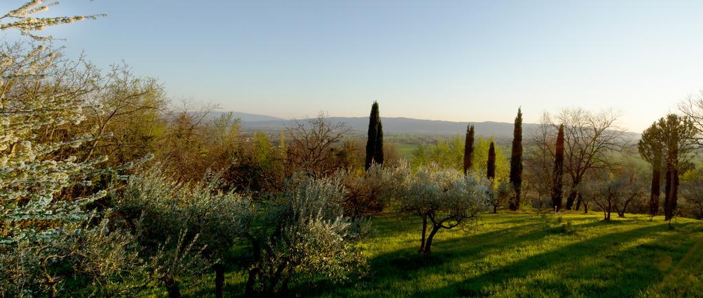 Villa Degli Ulivi Assisi Quarto foto
