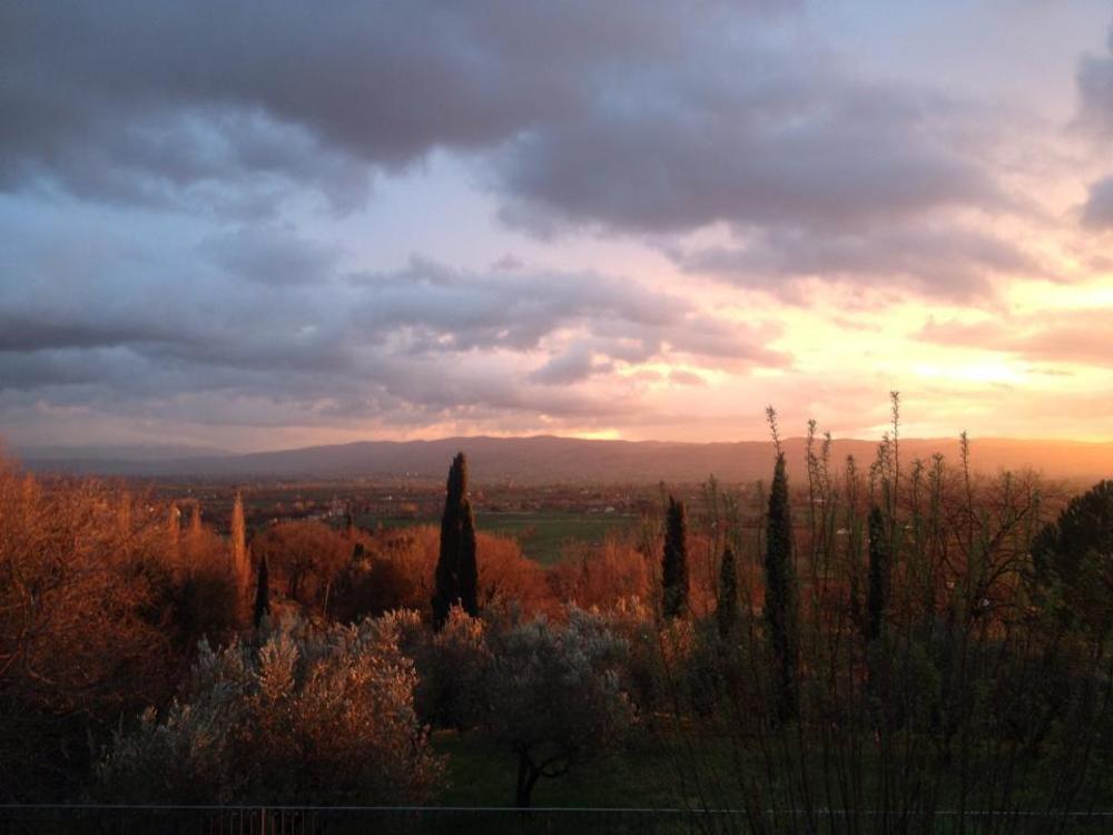 Villa Degli Ulivi Assisi Exterior foto